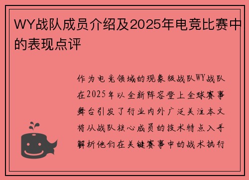 WY战队成员介绍及2025年电竞比赛中的表现点评